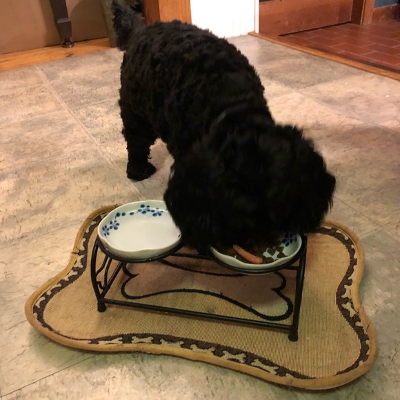 Meet your Posher, Miranda - Picture 1 of 1